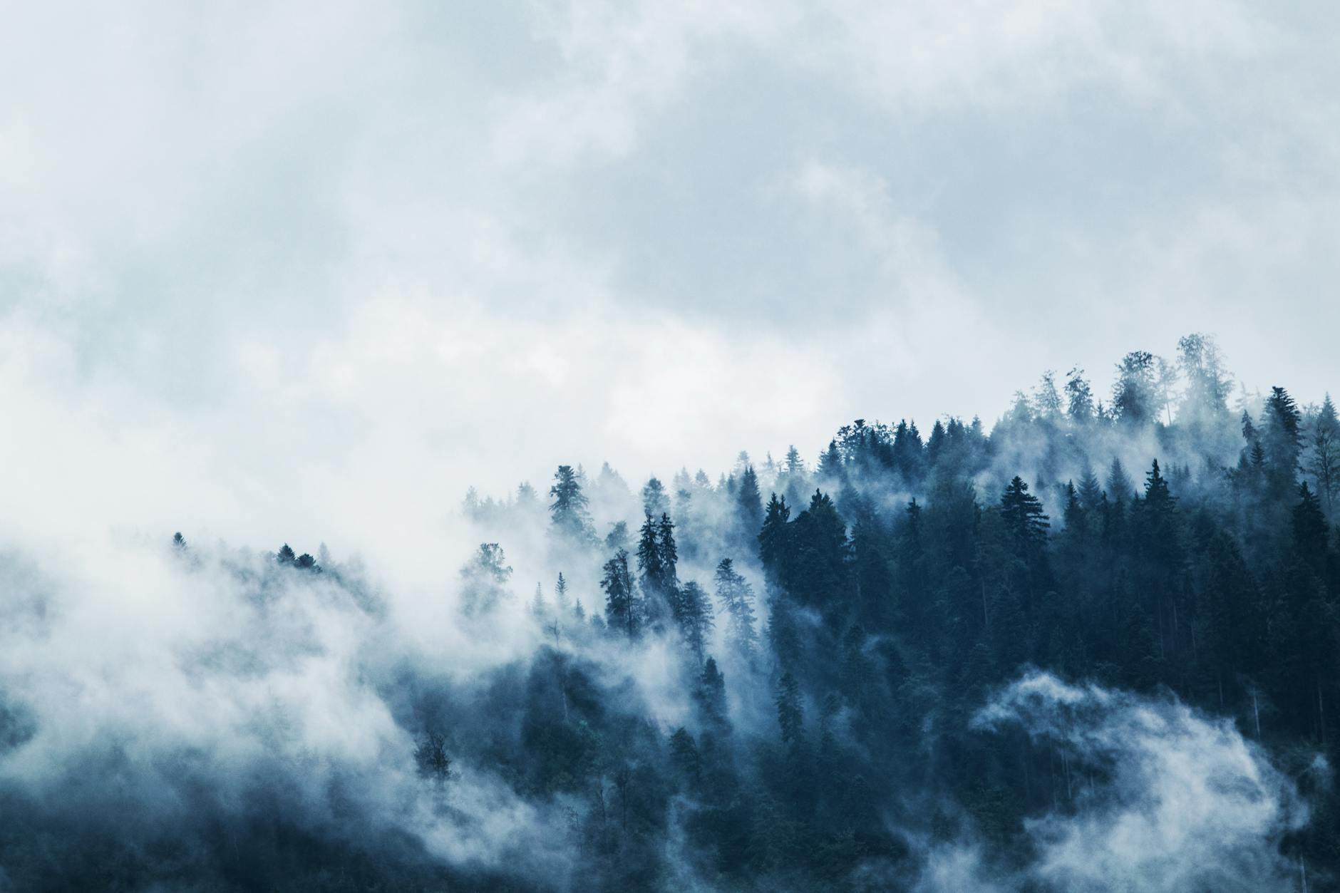 Driving towards the cloud through the CRM mist