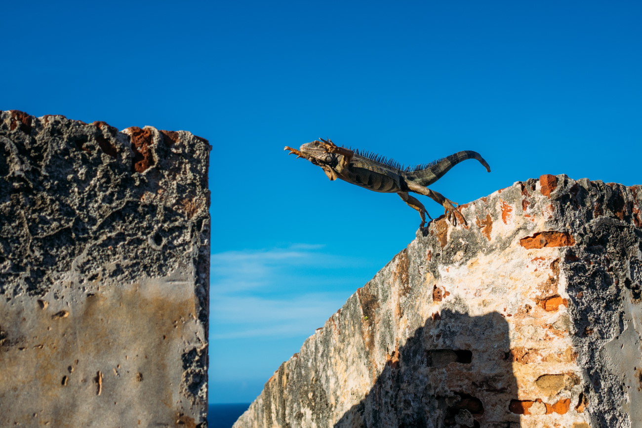 What will Power Fx mean for Model-driven Power Apps?